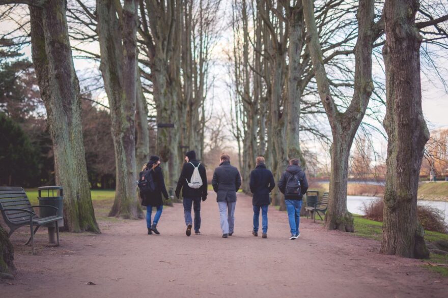 the team photographed from behind, walking in an avenue of trees
