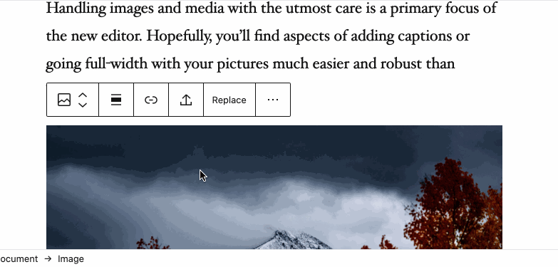 Screenshot of the block editor, how an image can be uploaded