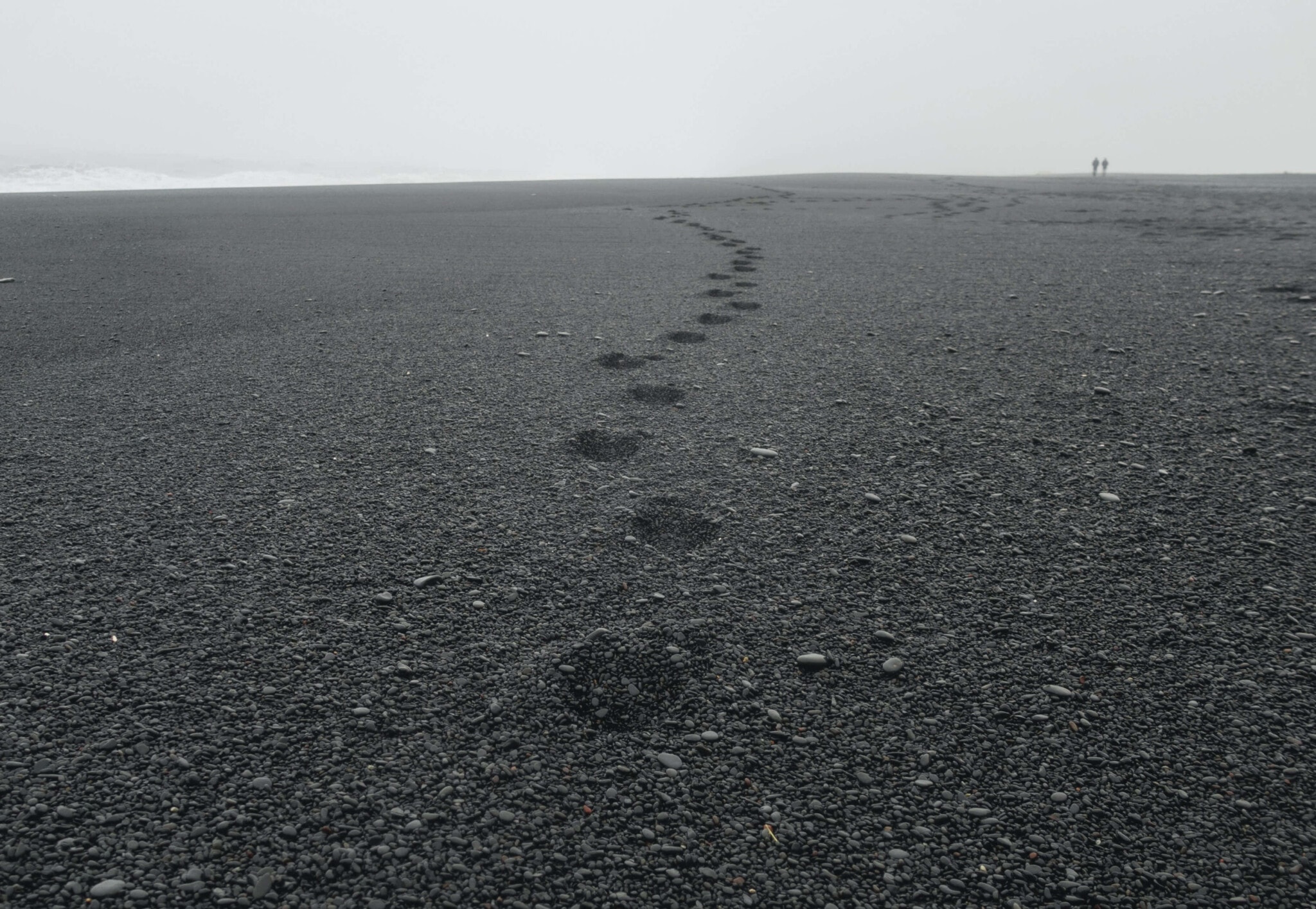 Fussabdrücke in rauem, dunklem Sand an einem Strand.