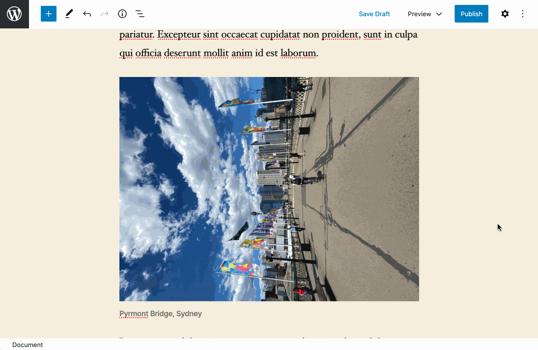 Screenshot of the block editor showing how an image can be edited