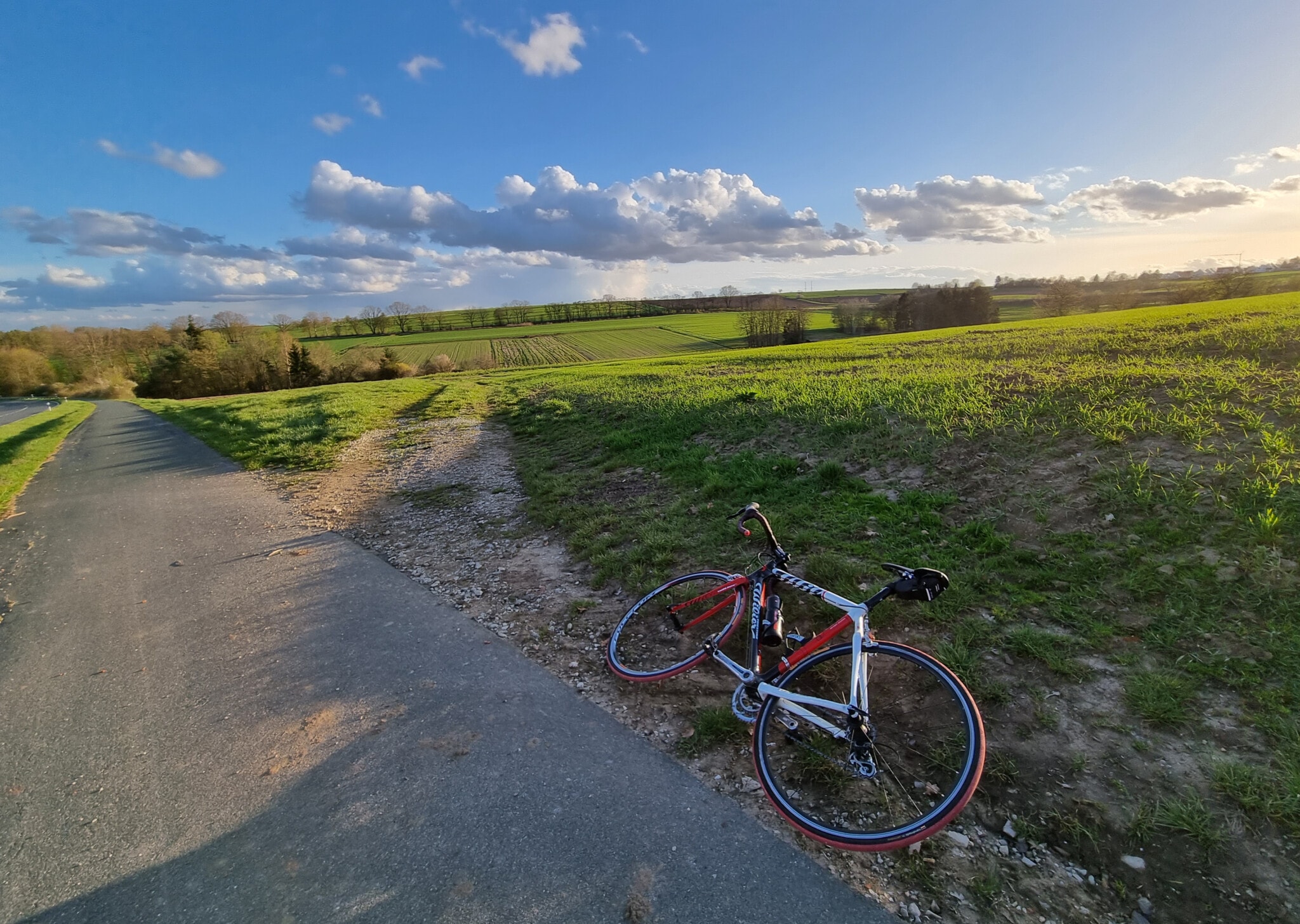A bicycle lying on the side of the road. Green meadows and trees in the background.