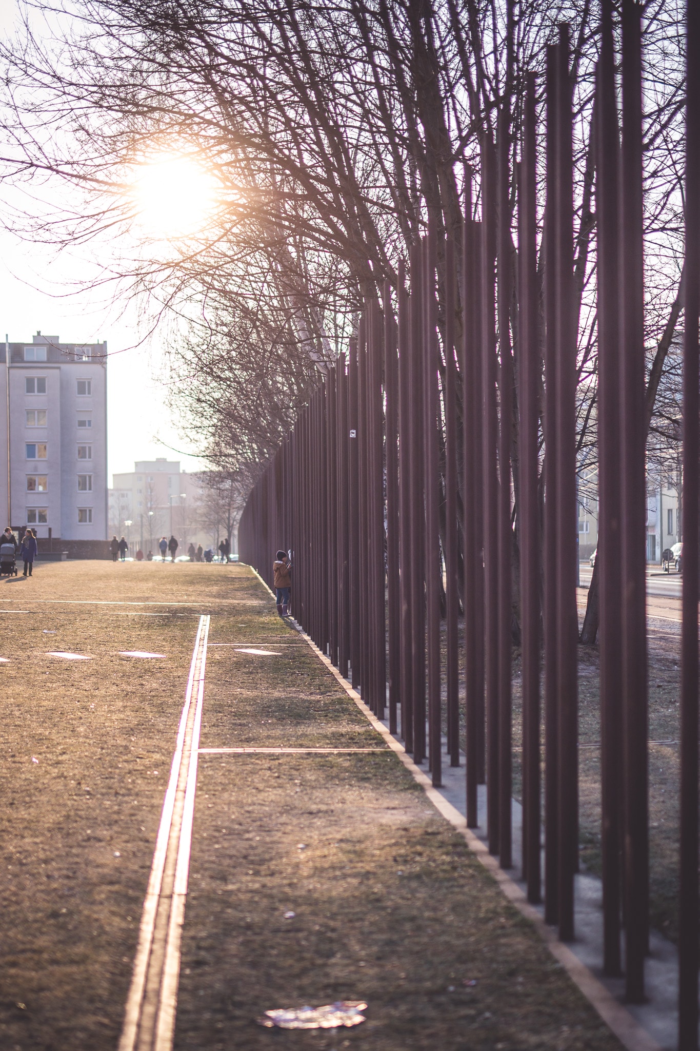 Photo of a sunny avenue of trees