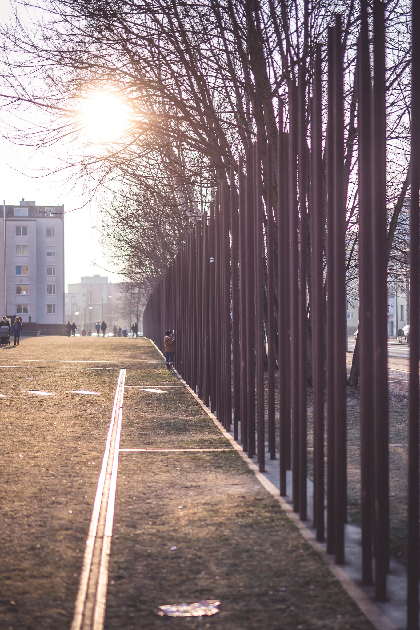 Foto von einer sonnigen Baum-Allee