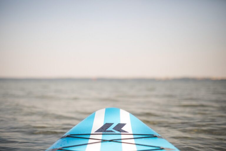 Perspective on a stand-up paddle with a view of the lake