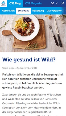 CSS Blog auf einem Smartphone