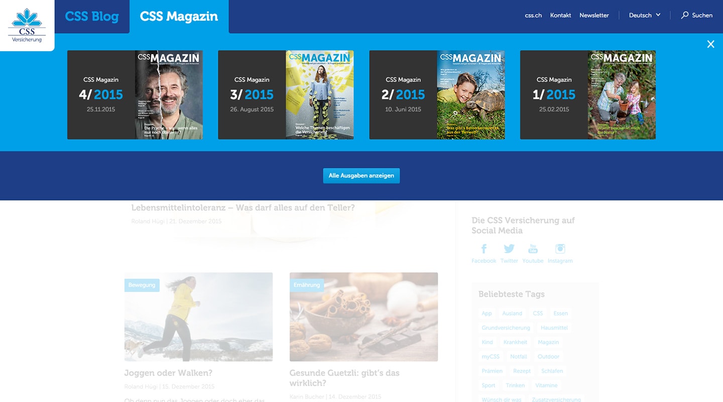 CSS Blog on a large screen