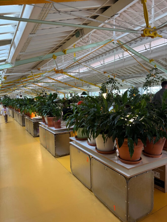 A co-working space in Lisbon with lots of plants