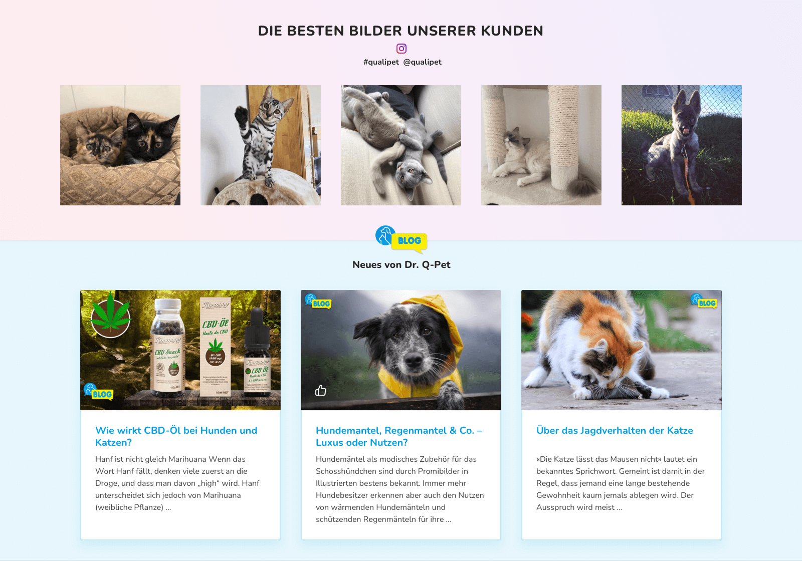 Ein Screenshot der Blog-Integration im Online Shop