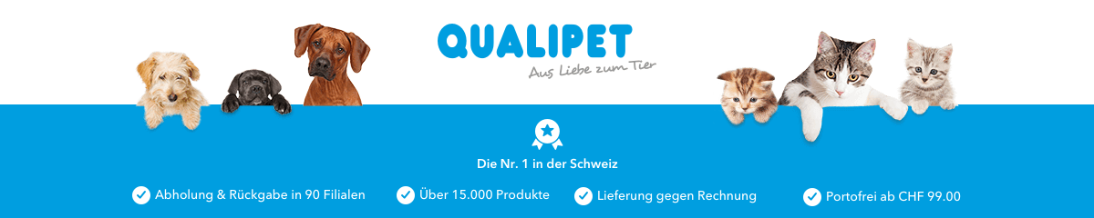 Der Footer des Online Shops mit niedlichen und freundlichen tieren